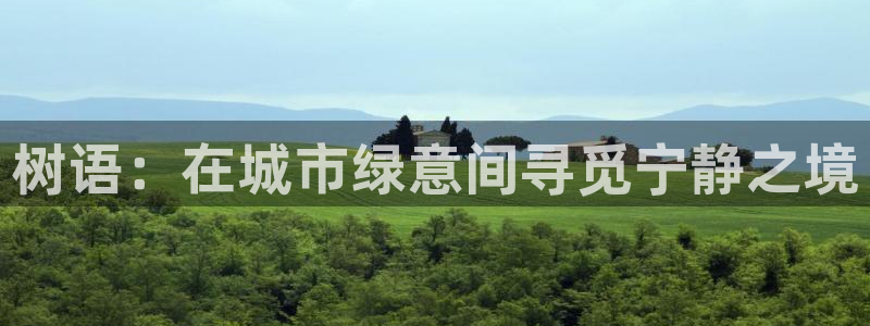 新宝gg走势