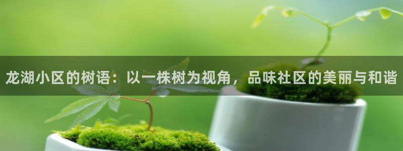 新宝gg申请账号：龙湖小区的树语：以一株树为视角，品味社区的美丽与和谐
