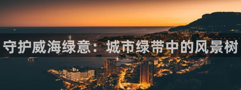 新宝gg客服电话