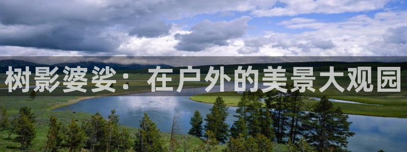 新宝gg棋牌：树影婆娑：在户外的美景大观园