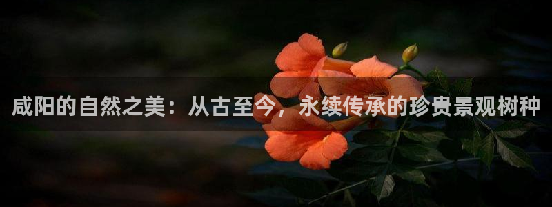 新宝gg主管48527：咸阳的自然之美：从古至今，永续传承的珍贵景观树种