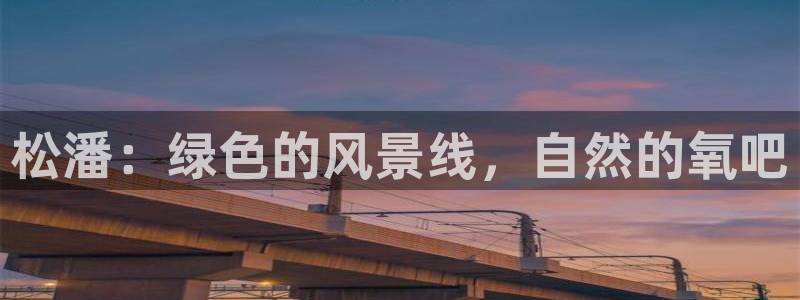 新宝gg如何赚钱