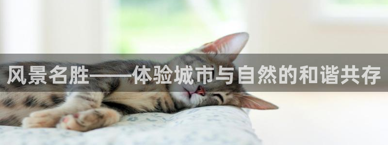 新宝gg登陆平台