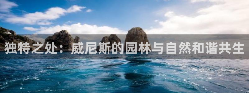 新宝gg娱乐官网