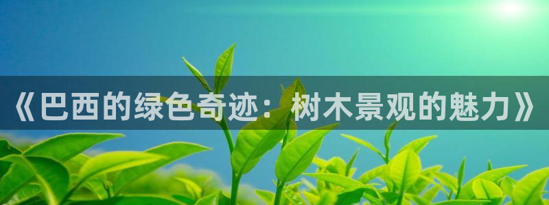 新宝皇冠gg：《巴西的绿色奇迹：树木景观的魅力》