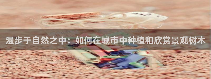 新宝GG勒55312