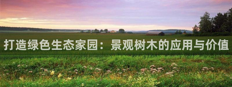 新宝gg官方主管