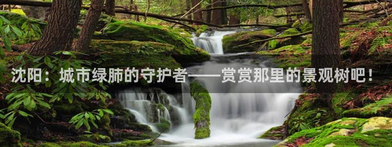 新宝gg娱乐客户端下载