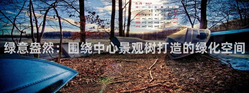 新宝gg是在境外吗