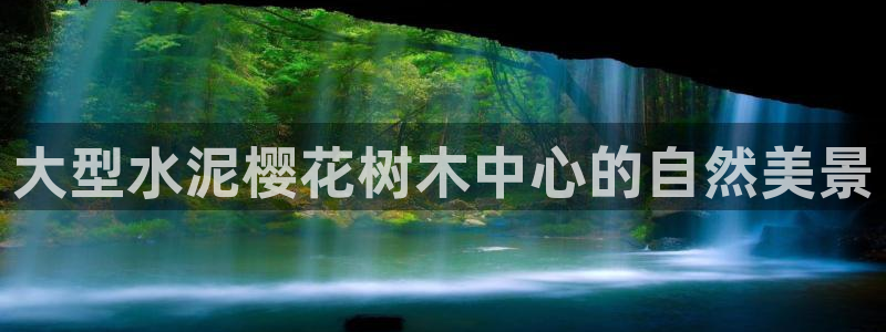 新宝gg正规