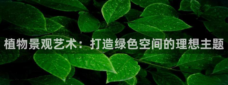 新宝GG都有哪些计划