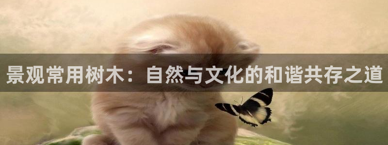 新宝gg招商致胜团队：景观常用树木：自然与文化的和谐共存之道