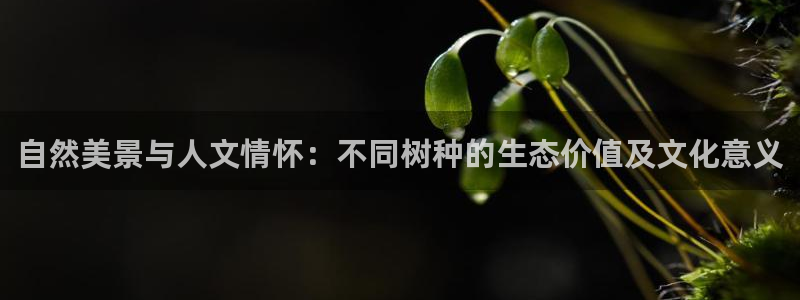新宝gg正规