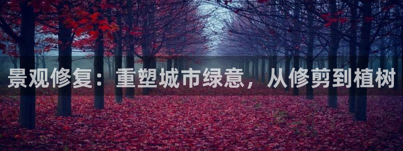 新宝一gg测速：景观修复：重塑城市绿意，从修剪到植树