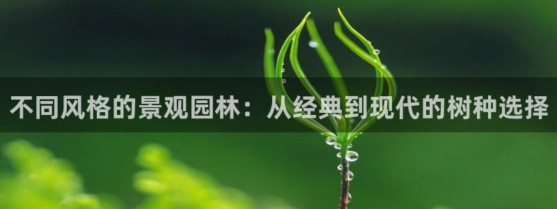 新宝gg手机