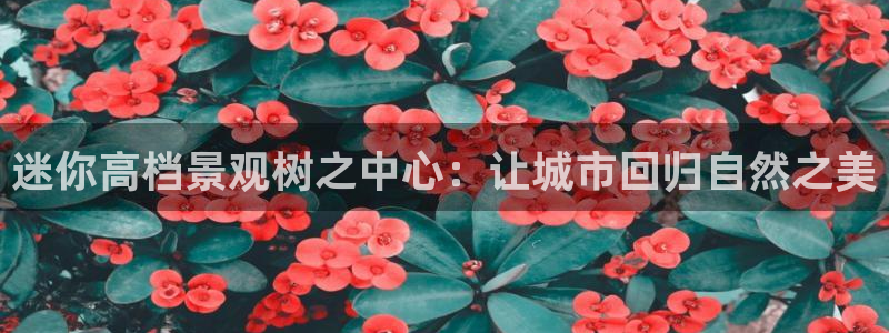 新宝GG扩展78778：迷你高档景观树之中心：让城市回归自然之美