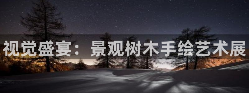 新宝gg创造奇迹下载