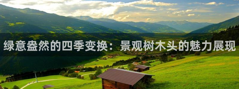 新宝gg在哪开户：绿意盎然的四季变换：景观树木头的魅力展现