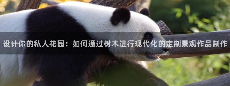 新宝gg指定平台