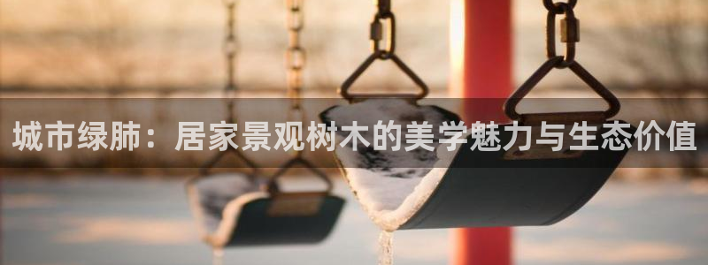 新宝gg娱乐注册-全芏网：城市绿肺：居家景观树木的美学魅力与生态价值