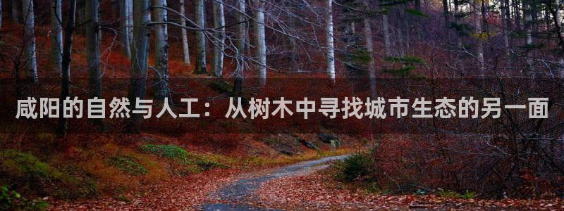 新浪新闻新宝gg