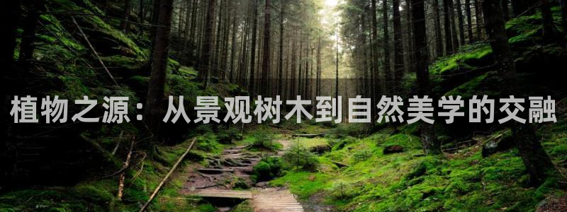 新宝gg网投