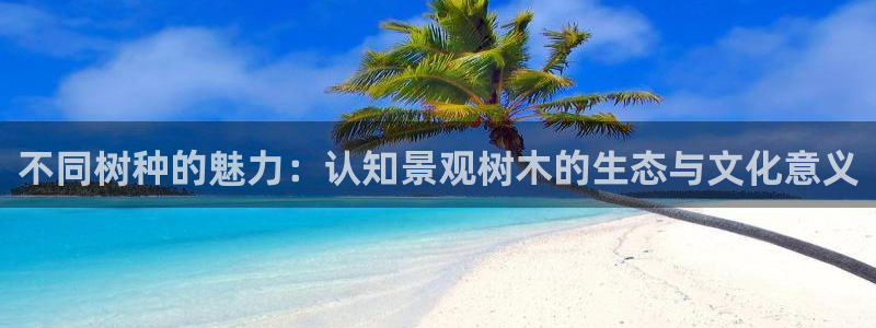 新浪新闻新宝gg