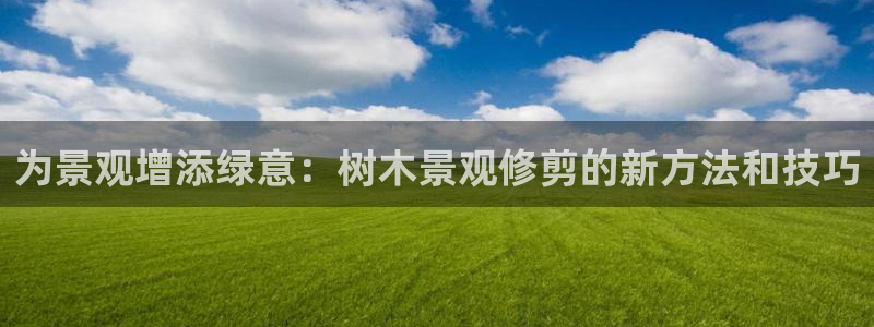 新宝gg直属