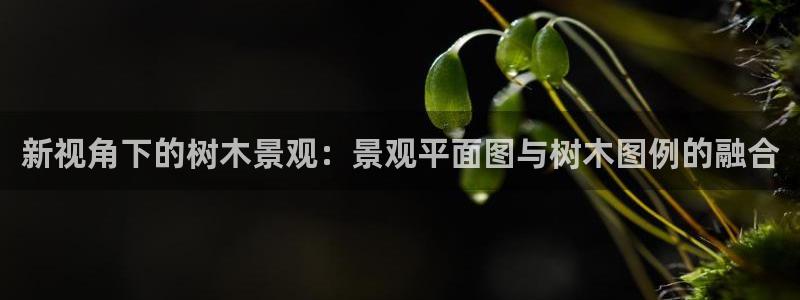 新宝GG手机客户端