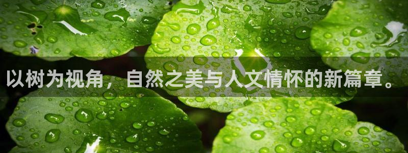 gg新宝时时彩