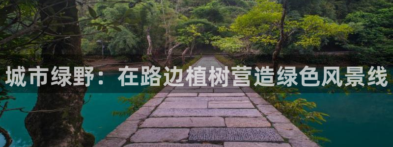 新宝gg主管花木兰