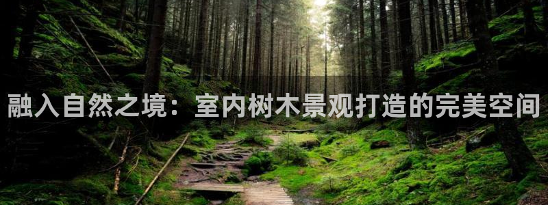 新宝gg属于：融入自然之境：室内树木景观打造的完美空间