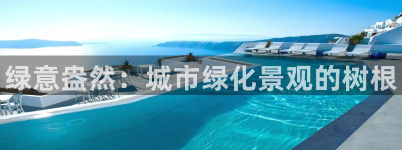 新宝gg首页平台