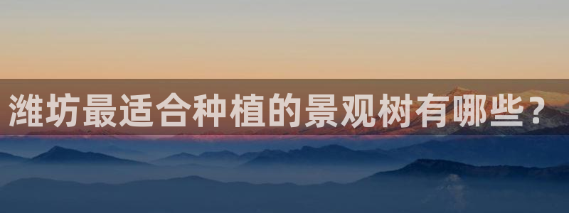 新宝gg平台开户