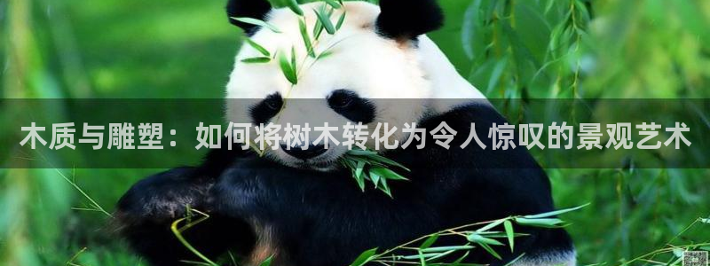 新宝gg娱乐主管q42873：木质与雕塑：如何将树木转化为令人惊叹的景观艺术