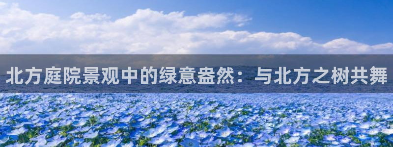 新宝gg返点1956是多少