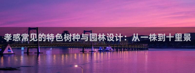 行新宝gg
