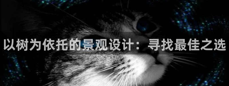 新宝gg开奖
