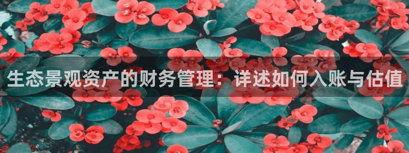 新宝gg 创造