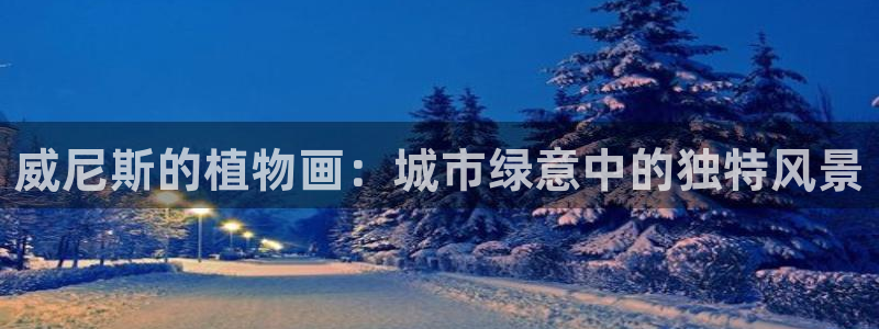 新宝gg 奇迹