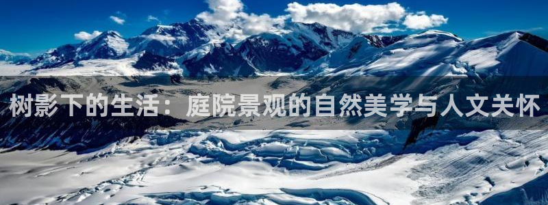 新宝gg开户流程