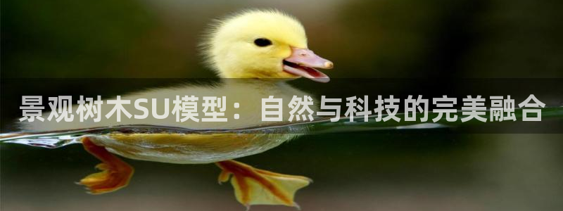 新宝 gg 总代理