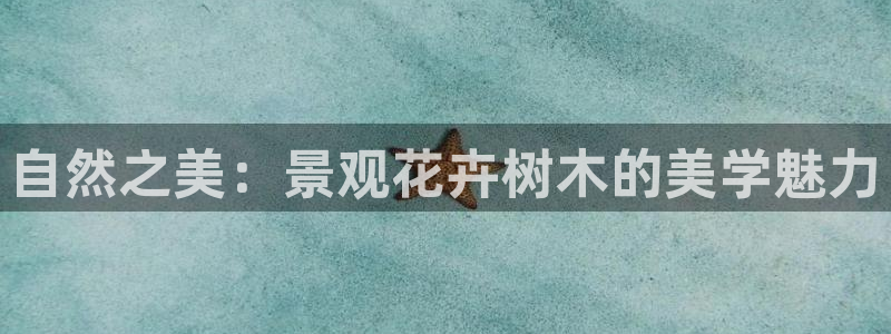 新宝gg建立团队