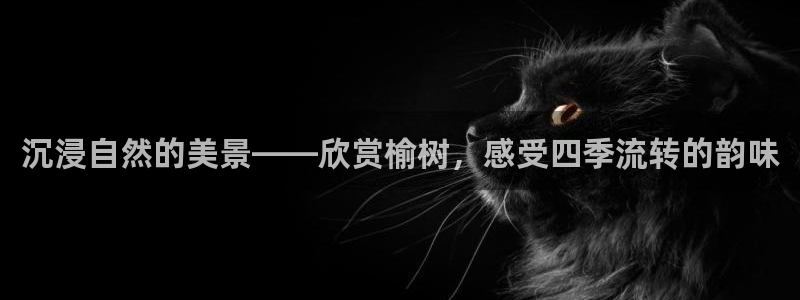 新宝gg主管开