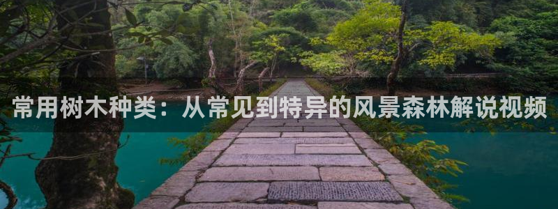 新宝gg返点