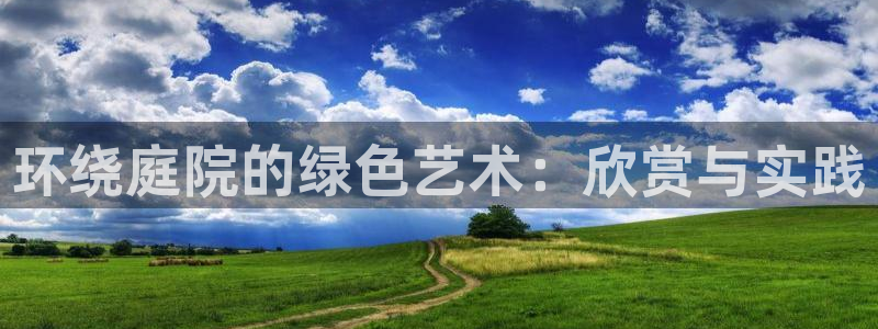 新宝gg代理条件