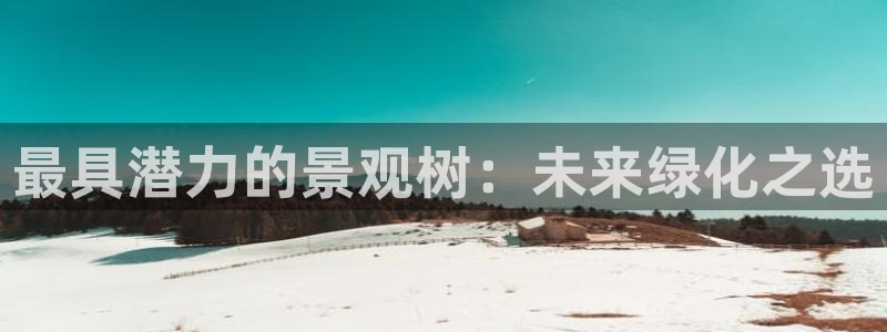 gg新宝时时彩