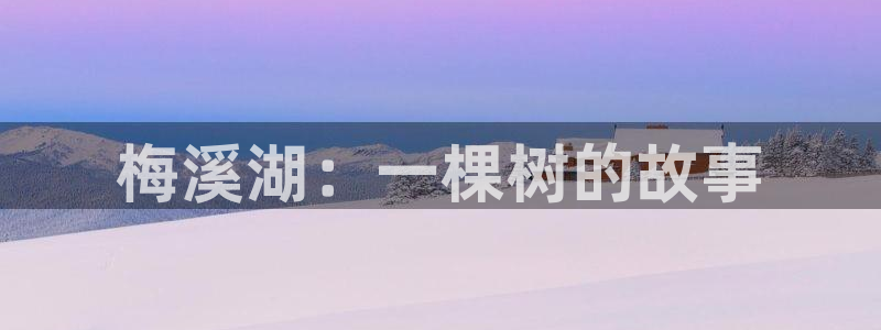 新宝GG槐78778