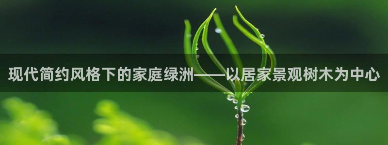 新宝gg平台开发