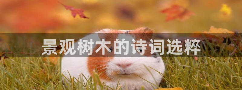 新宝彩票gg：景观树木的诗词选粹